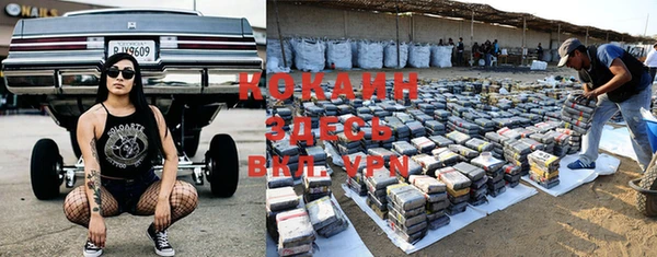кокс Ростов